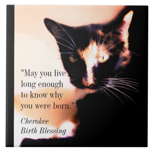 猫用メッセンジャー タイル (正面)