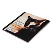 猫用メッセンジャー タイル (側面)