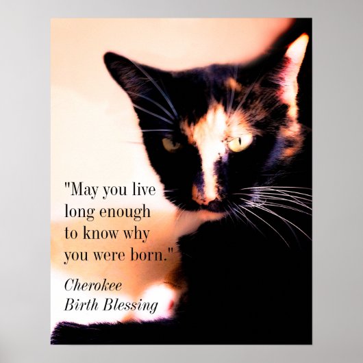 猫用メッセンジャー ポスター (正面)