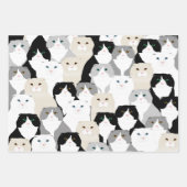 猫用ラッピング紙シート ラッピングペーパーシート (正面3)