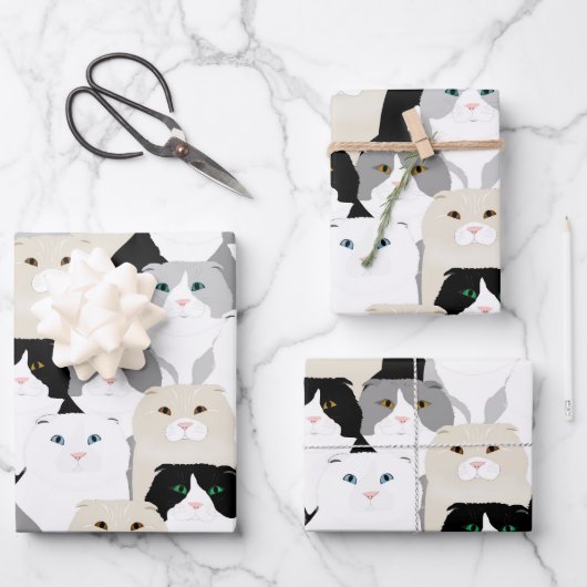 猫用ラッピング紙シート ラッピングペーパーシート (正面)