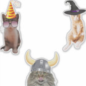 猫用帽子 シール (正面)