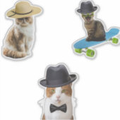 猫用帽子 シール (正面)