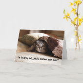 猫用誕生日カード カード (黄色い花)