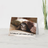 猫用誕生日カード カード (正面)