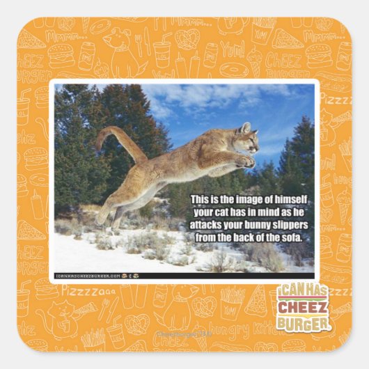 猫画像 スクエアシール (正面)