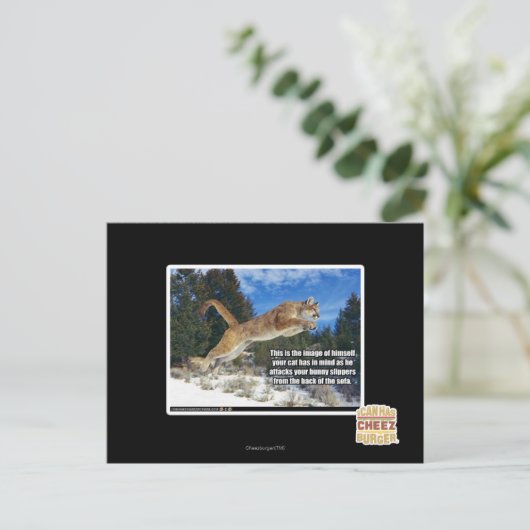 猫画像 ポストカード (スタンド正面)