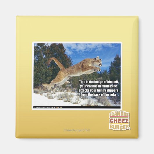 猫画像 マグネット (正面)