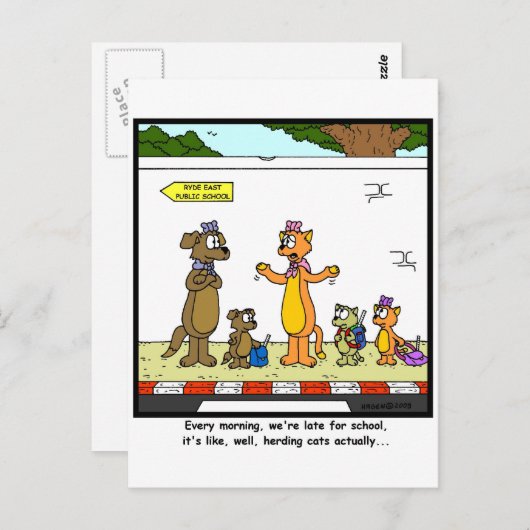 猫番 ポストカード (正面/裏面)