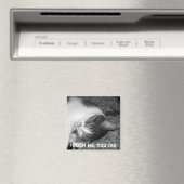 猫眠りクラビー猫磁石 マグネット (インサイチュ (食洗機))