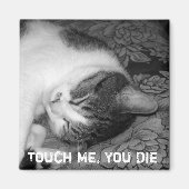 猫眠りクラビー猫磁石 マグネット (正面)