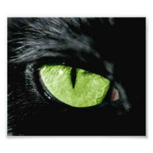 猫眼 フォトプリント