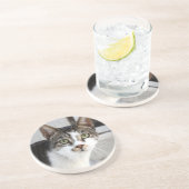 猫砂岩コースター コースター (側面)