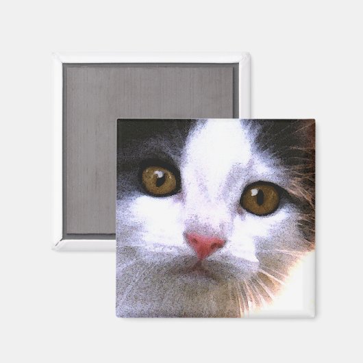 猫磁石 マグネット (正面/裏面)
