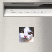 猫磁石 マグネット (インサイチュ (食洗機))