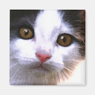 猫磁石 マグネット