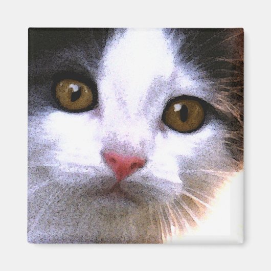 猫磁石 マグネット (正面)