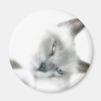 猫磁石 マグネット