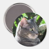 猫磁石 マグネット (正面/裏面)