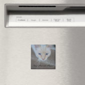 猫磁石 マグネット (インサイチュ (食洗機))