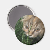 猫磁石 マグネット (正面/裏面)