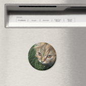 猫磁石 マグネット (インサイチュ (食洗機))