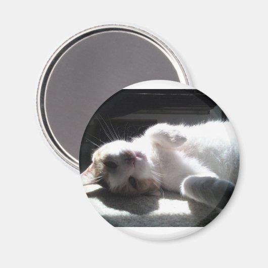 猫磁石 マグネット (正面/裏面)