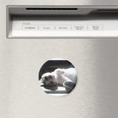 猫磁石 マグネット (インサイチュ (食洗機))