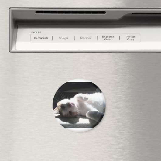 猫磁石 マグネット (インサイチュ (食洗機))