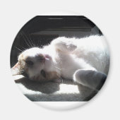 猫磁石 マグネット (正面)