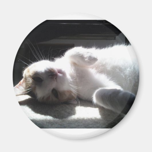猫磁石 マグネット (正面)
