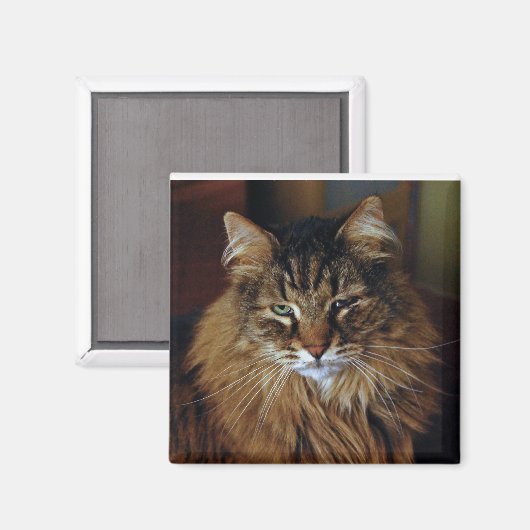 猫磁石 マグネット (正面/裏面)