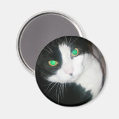 猫磁石 マグネット (正面/裏面)