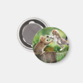 猫磁石 マグネット (正面/裏面)