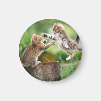 猫磁石 マグネット