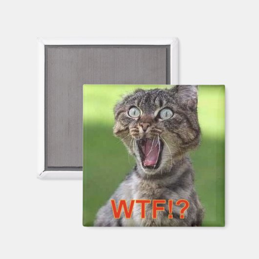 猫磁石 マグネット (正面/裏面)