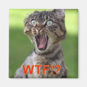 猫磁石 マグネット (正面)