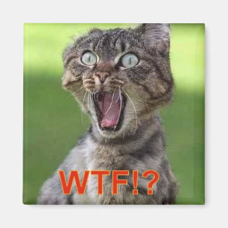 猫磁石 マグネット