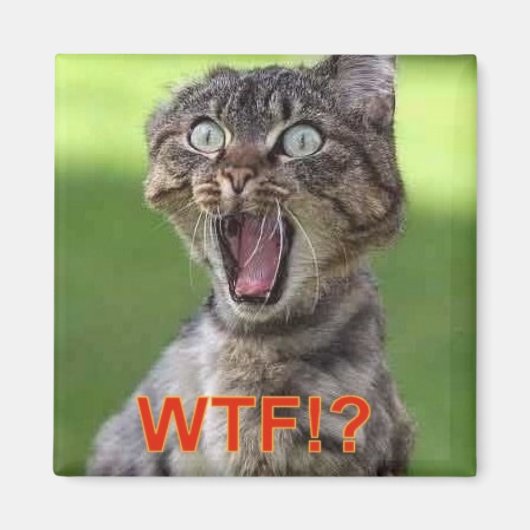 猫磁石 マグネット (正面)