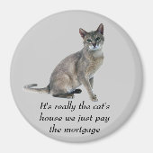 猫磁石 マグネット (正面)