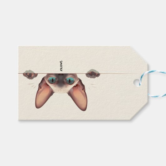 猫種スフィンクス ギフトタグ (正面(横))