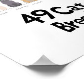 猫種図 ポスター (角)