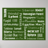 猫種 ポスター (正面)