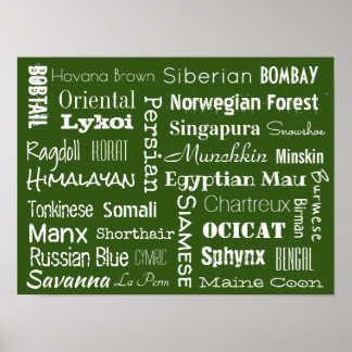 猫種 ポスター