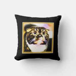 猫笑わされるの写真おもしろい。買今 クッション