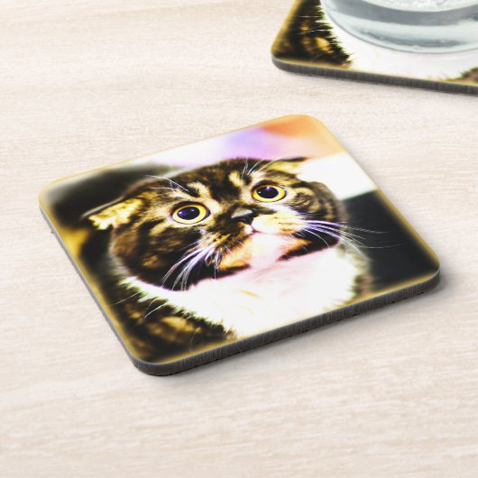 猫笑わされるの写真おもしろい。買今 コースター (左側)