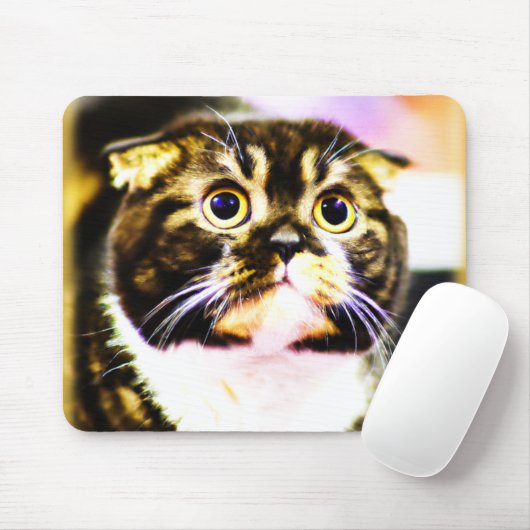 猫笑わされるの写真おもしろい。買今 マウスパッド (マウス)