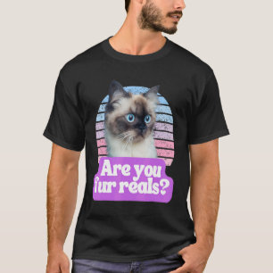 猫笑わされるミーム子猫猫の毛 Tシャツ