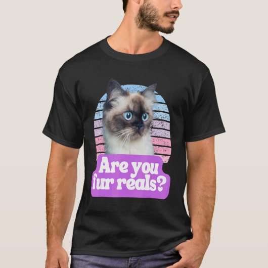 猫笑わされるミーム子猫猫の毛 Tシャツ (正面)