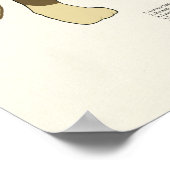 猫筋解剖学獣医図 ポスター (角)